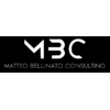 MATTEO BELLINATO CONSULTING